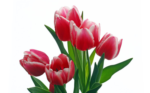 488975 (a): :2560x1600